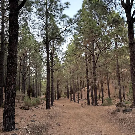 Masca, Teide, Gigantes, Excursions, Ac, Wifi-4 * Santiago Del Teide